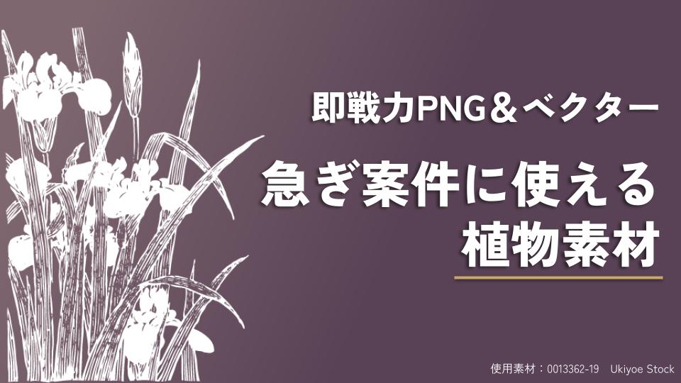 Thumbnail of post image 035