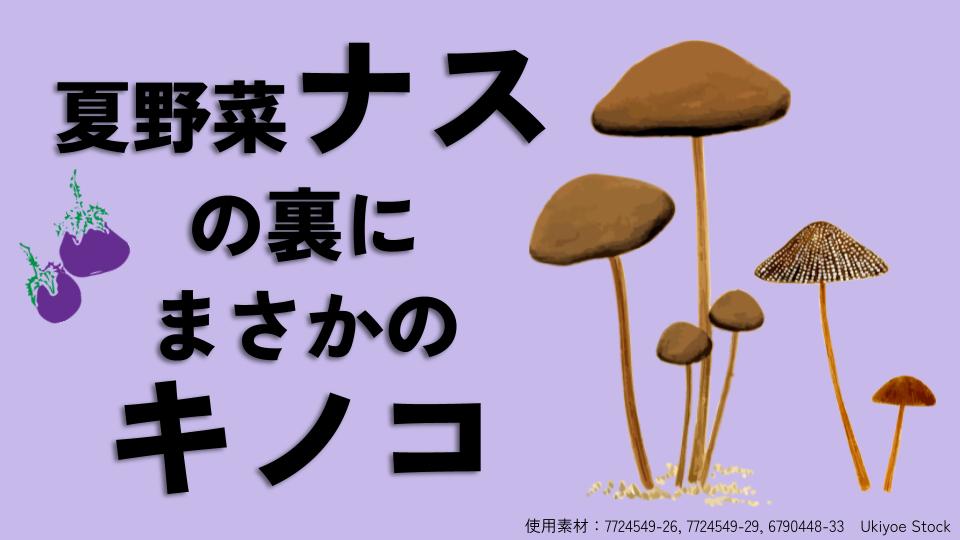 Thumbnail of related posts 164