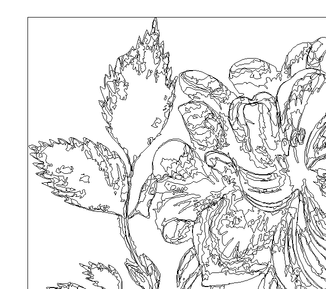 部分拡大図と同じ範囲のアウトライン表示（illustrator画面スクリーンショット）