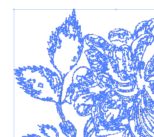 部分拡大図と同じ範囲のパス表示（illustrator画面スクリーンショット）