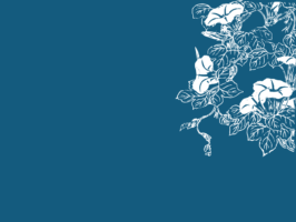 Thumbnail of post image 016