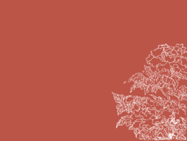 Thumbnail of post image 186