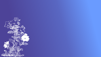 Thumbnail of post image 128