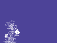 Thumbnail of related posts 162