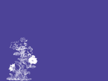 Free ukiyo-e item of 4: 3 size_kikyo