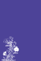 Thumbnail of post image 128