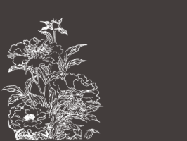 Thumbnail of post image 180