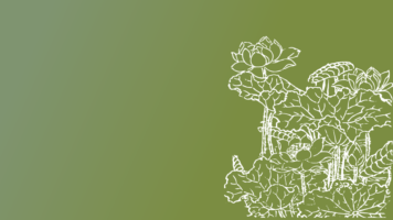 Thumbnail of post image 016