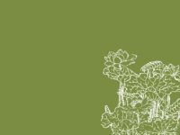 Thumbnail of related posts 014