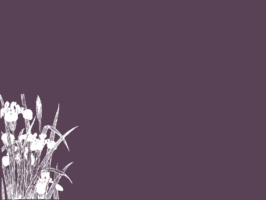 Thumbnail of post image 058