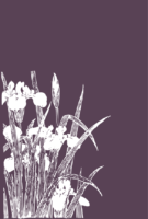 Thumbnail of related posts 006