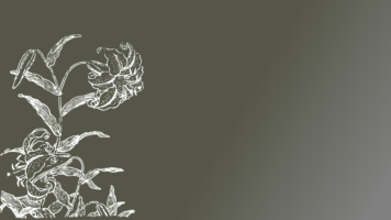 Thumbnail of post image 015