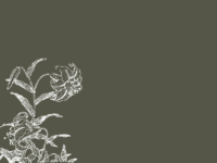 Thumbnail of related posts 020