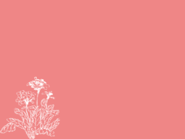 Thumbnail of post image 053