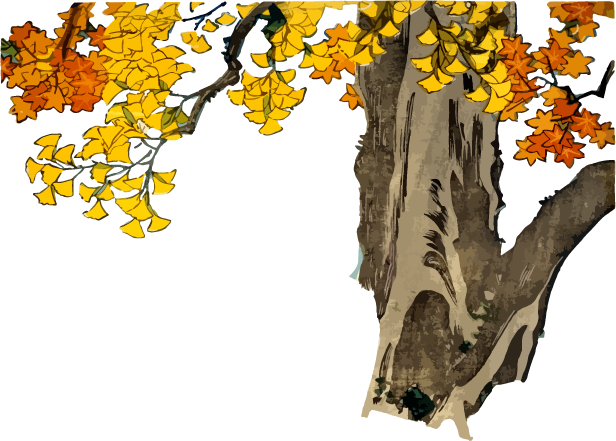 銀杏の木と紅葉の和風のイラスト素材 Ukiyoe Stock
