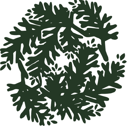Free Download  item of Japanese pattern_coniferous branch 2
