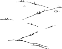 Freebie PNG –  Grassy slope (for background)