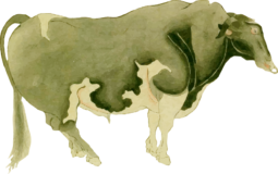 河内牛の浮世絵ダウンロード素材