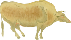 Freebie PNG –  Mikuriya beef