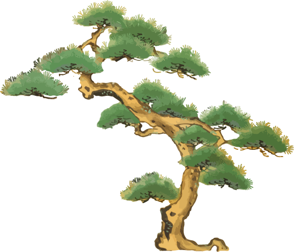 Free Japanese resource of Pine tree