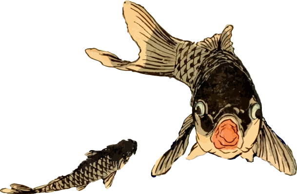 口を開けて向かってくる鯉の浮世絵イラスト素材 Ukiyoe Stock