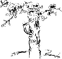 Thumbnail of related posts 007