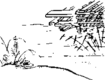 木場のモノクロカット素材