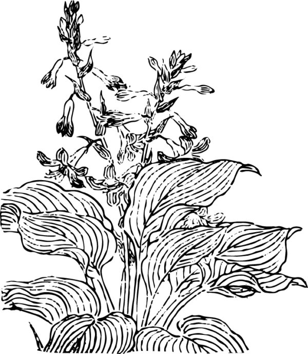 5238116-03