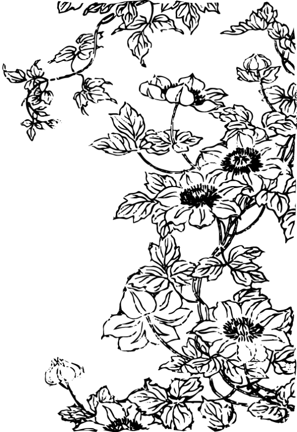 5238116-14