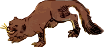 Free creative resources of  Otter