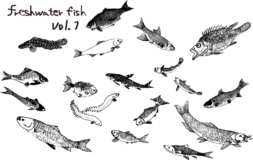 お魚セット1のモノクロイラスト素材