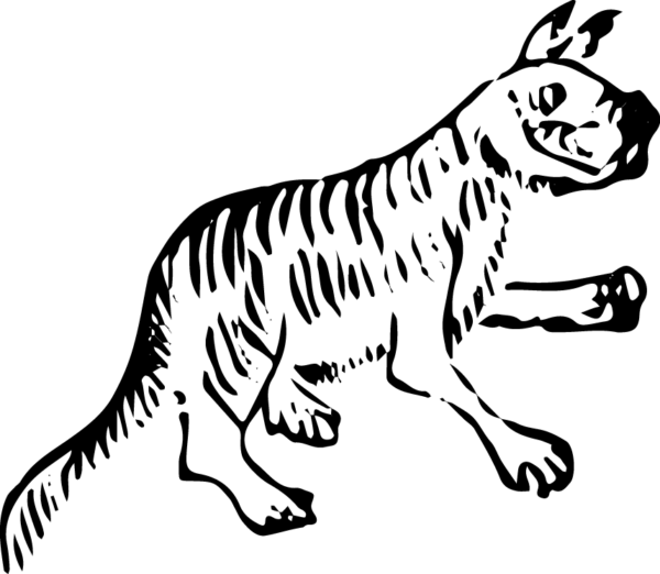 6290064-12