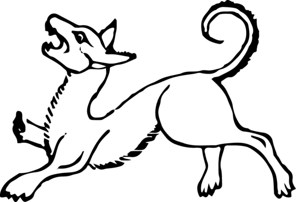 6290064-13