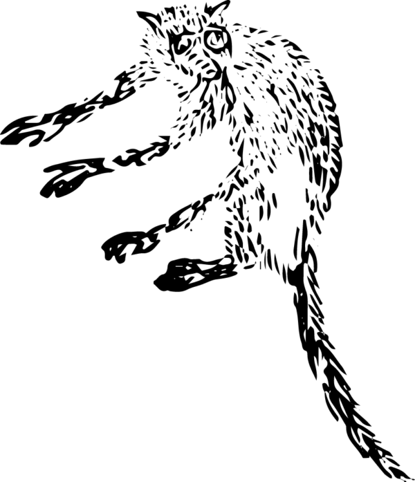 6290064-19