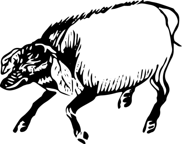 6290064-20