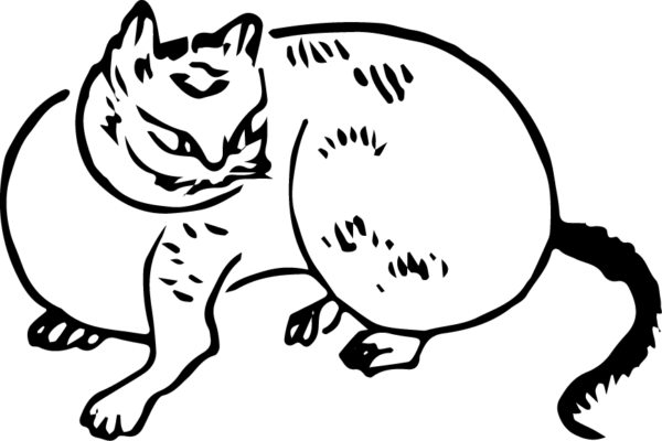 6290064-21
