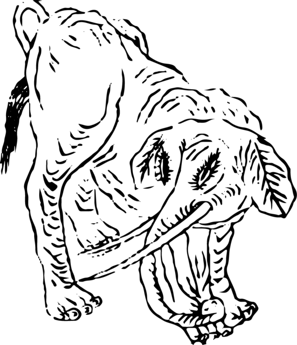 6290064-24