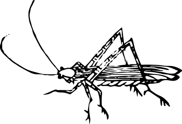 6290064-25