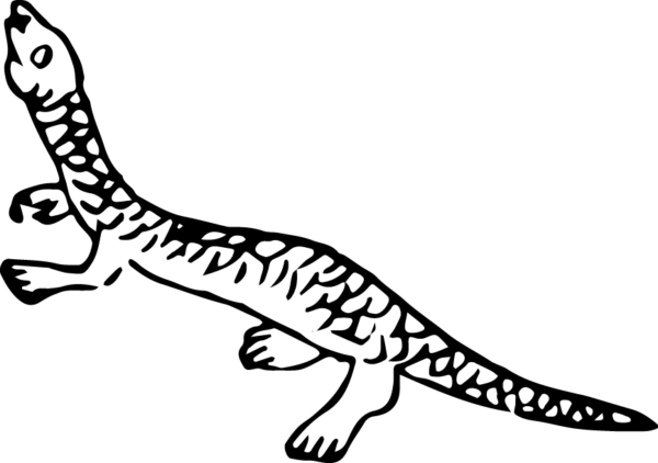 6290064-32