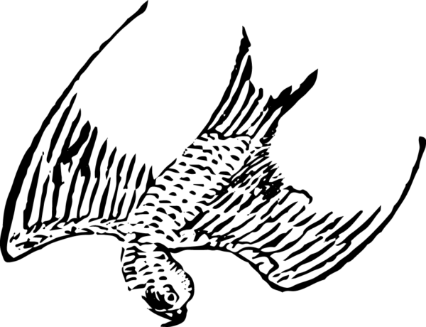 6290064-39