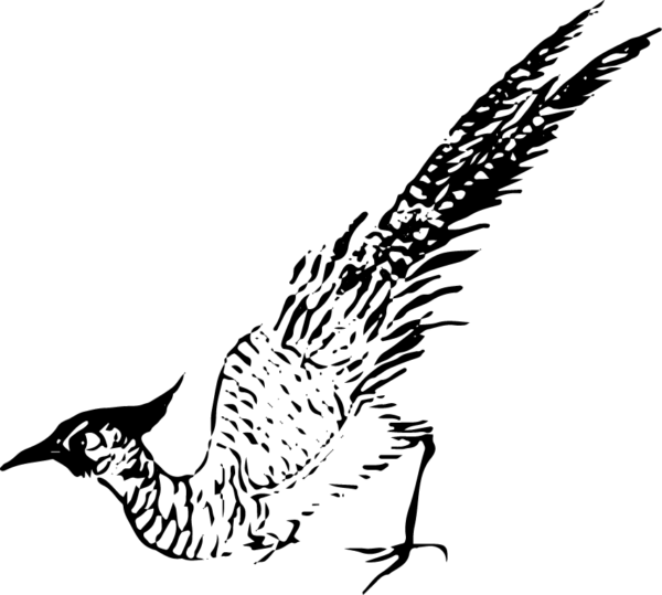 6290064-45