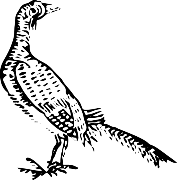 6290064-46