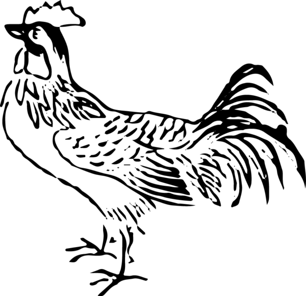 6290064-52