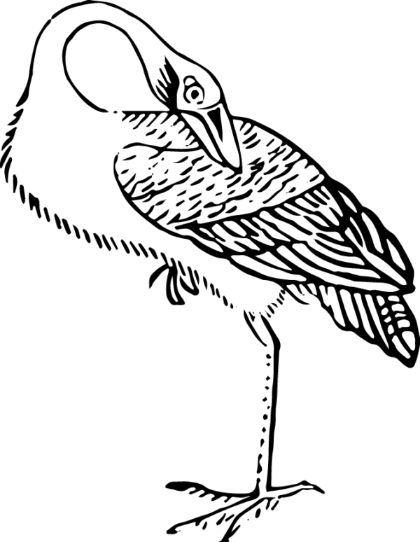 6290064-57