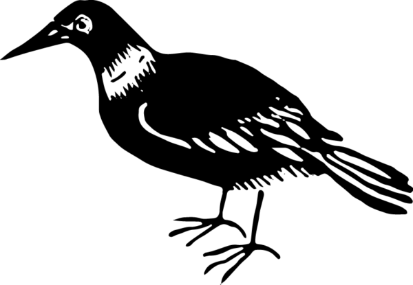 6290064-58