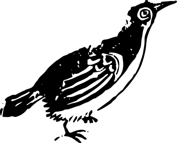 6290064-65