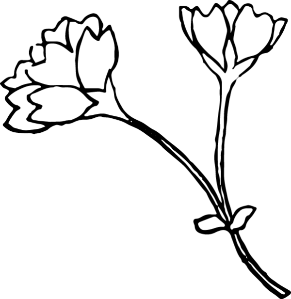 6397852-02