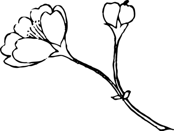 6397852-19
