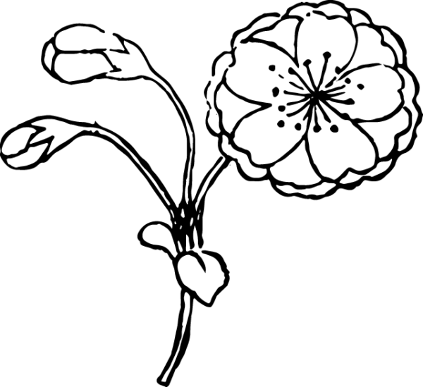 6397852-32