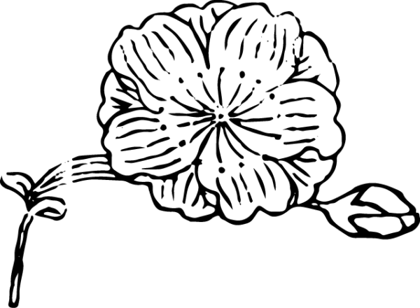 6397852-56
